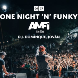 ONE NIGHT ’N’ FUNKY