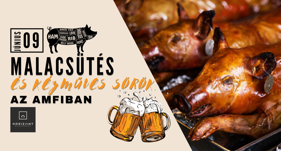 Malacsütés az AMFIban