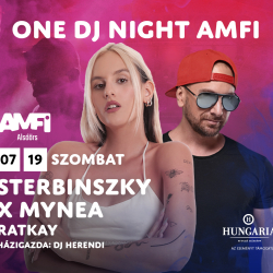 ONE DJ NIGHT AMFI