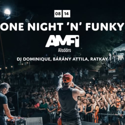ONE DJ NIGHT AMFI
