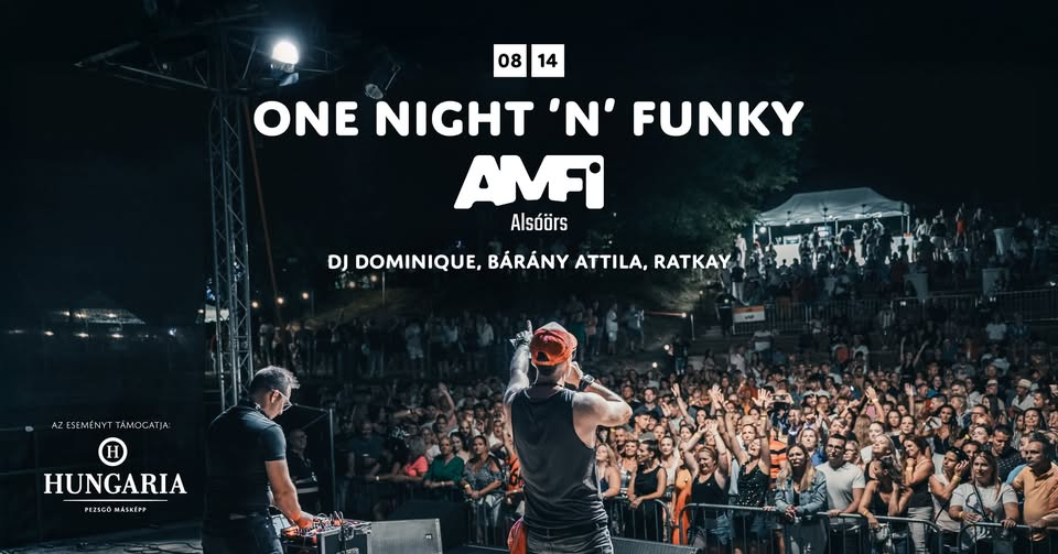 ONE NIGHT ’N’ FUNKY